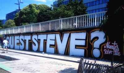 POUR STEVE, POUR TOUTES LES VICTIMES DE LA VIOLENCE PHYSIQUE DU POUVOIR !