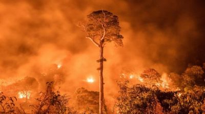 Rencontre internationale socio-environnementale de la LIS : Oui, regarder en l'air. Il n'y a pas de planète B